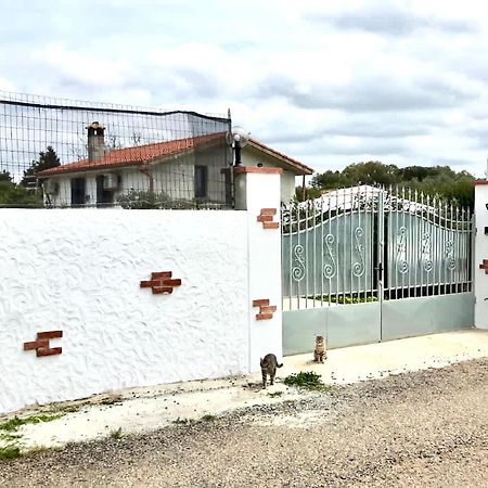 Appartement La Maison Blanche à Iglesias Extérieur photo