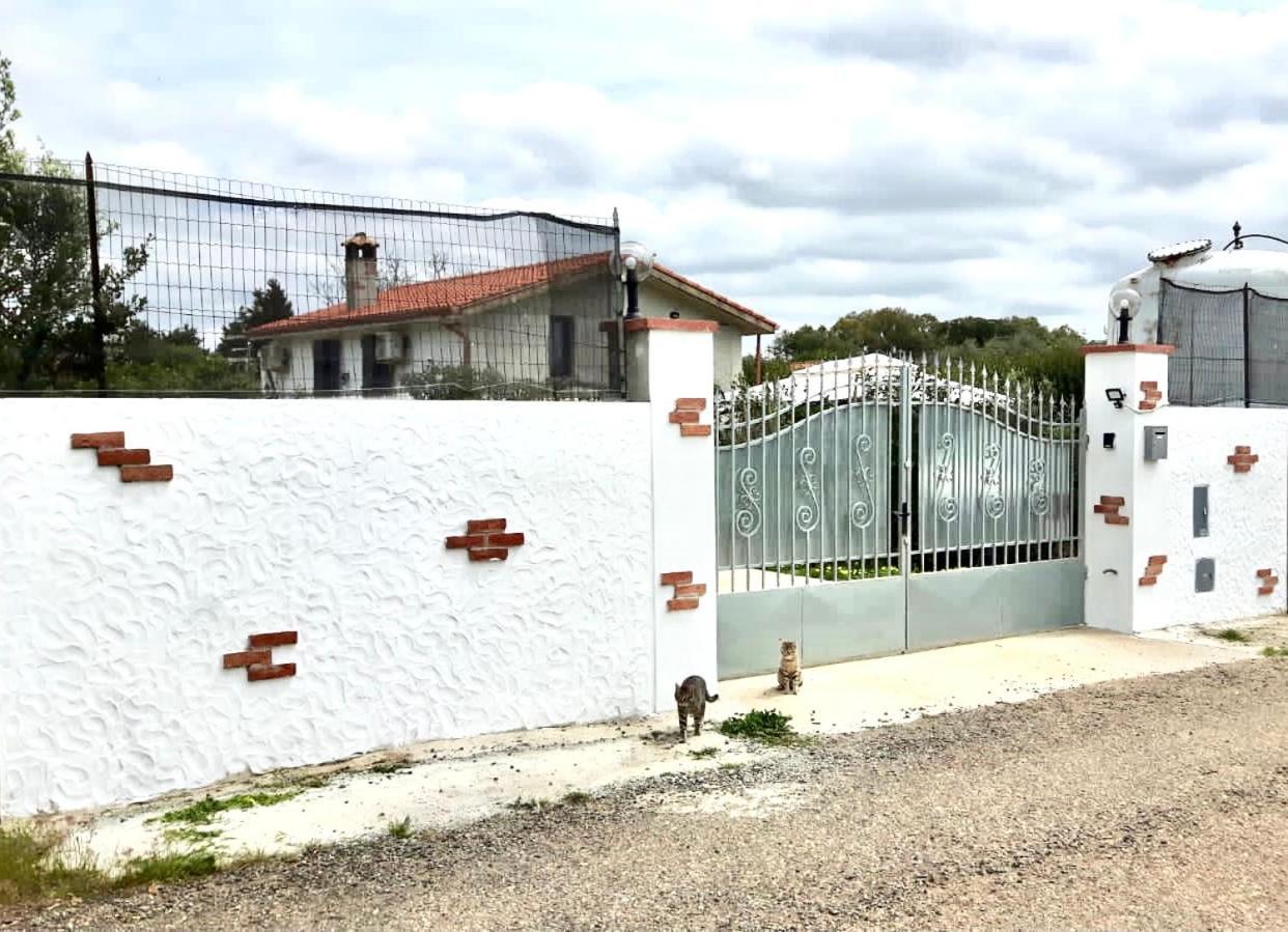 Appartement La Maison Blanche à Iglesias Extérieur photo